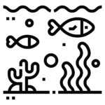 Natural Aquascaping - Ocean Water (Malooha)