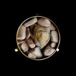 MIX MALOOHA - AQUASCAPING - Image 2